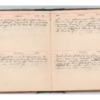 Wellington Willis Diary, 1913-53.pdf