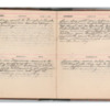 Wellington Willis Diary, 1913-84.pdf