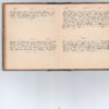 Wellington Willis Diary, 1913-43.pdf