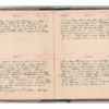 Wellington Willis Diary, 1913-9.pdf