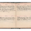 Wellington Willis Diary, 1913-71.pdf