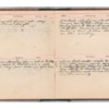 Wellington Willis Diary, 1913-30.pdf