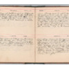 Wellington Willis Diary, 1913-62.pdf