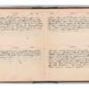 Wellington Willis Diary, 1913-27.pdf