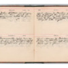 Wellington Willis Diary, 1913-33.pdf