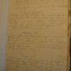 Frances Ann (Fanny) Jones Diary &amp; Transcription, 1878