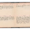 Wellington Willis Diary, 1913-36.pdf
