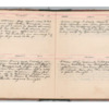 Wellington Willis Diary, 1913-55.pdf