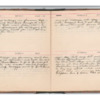 Wellington Willis Diary, 1913-58.pdf