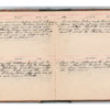 Wellington Willis Diary, 1913-29.pdf