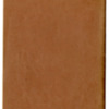 Mary Agnes Cooper Diary 1921 46.pdf