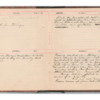 Wellington Willis Diary, 1913-4.pdf