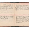 Wellington Willis Diary, 1913-41.pdf