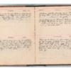 Wellington Willis Diary, 1913-8.pdf