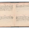 Wellington Willis Diary, 1913-13.pdf