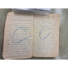 Joseph Dillon Diary, 1905 (6).pdf