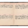 Wellington Willis Diary, 1913-32.pdf