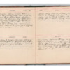 Wellington Willis Diary, 1913-46.pdf