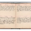 Wellington Willis Diary, 1913-69.pdf
