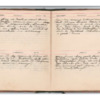 Wellington Willis Diary, 1913-67.pdf