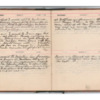Wellington Willis Diary, 1913-80.pdf