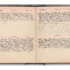 Wellington Willis Diary, 1913-79.pdf