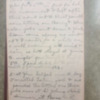 Joseph Dillon Diary, 1916-1917-35.pdf