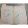 Joseph Dillon Diary, 1905 (62).pdf
