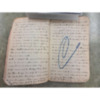 Joseph Dillon Diary, 1905 (13).pdf