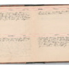 Wellington Willis Diary, 1913-5.pdf