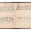 Wellington Willis Diary, 1913-15.pdf