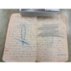 Joseph Dillon Diary, 1905 (55).pdf