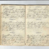 John Willis Diary,1872-19.pdf