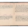 Wellington Willis Diary, 1913-40.pdf