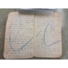 Joseph Dillon Diary, 1905 (9).pdf