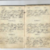John Willis Diary,1872-9.pdf