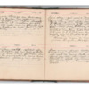 Wellington Willis Diary, 1913-64.pdf