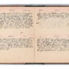 Wellington Willis Diary, 1913-25.pdf