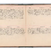 Wellington Willis Diary, 1913-52.pdf