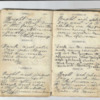 John Willis Diary,1872-15.pdf