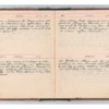 Wellington Willis Diary, 1913-39.pdf