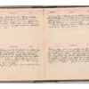 Wellington Willis Diary, 1913-7.pdf