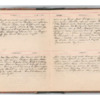 Wellington Willis Diary, 1913-19.pdf