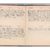 Wellington Willis Diary, 1913-63.pdf