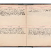 Wellington Willis Diary, 1913-77.pdf