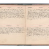 Wellington Willis Diary, 1913-87.pdf