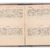 Wellington Willis Diary, 1913-16.pdf