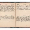 Wellington Willis Diary, 1913-72.pdf