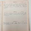 Levi Levere Diary, 1910 (44).pdf