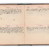 Wellington Willis Diary, 1913-31.pdf